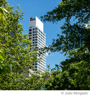 Two Towers, 90 Years Álvaro Siza, Aedes Architecture Forum, Manhattan